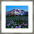 Mt.rainier Subalpine Wildflowers Framed Print