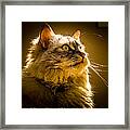 Muse In The Sun Framed Print