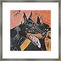 My Dobermans Framed Print