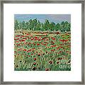 My Poppies Field Framed Print