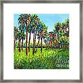 Myakka Palms Framed Print