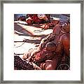 Nama Natives Framed Print