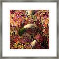 Natalia - Des Femmes Et Des Fleurs 02 Framed Print