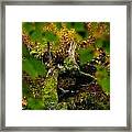 Natick Town Forest Framed Print