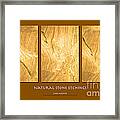 Natural Stone Etchings Framed Print