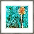 Nature Abstract 13 Framed Print