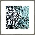 Nature Abstract 28 Framed Print