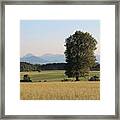 #nature #mountains #trees #tree Framed Print