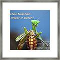 Nature Simplified Framed Print