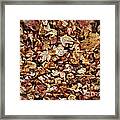 Natures Abstract Of Fall Leaves Framed Print