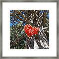 Nature's Heart Framed Print