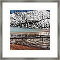 Nature's Mosaic I Framed Print