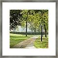 Nature's Path Framed Print