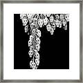 Nature's Pearls Framed Print