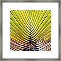 Natures Perfect Weave Framed Print