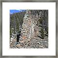 Nature's Wall Framed Print