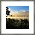 Nature's Way Framed Print