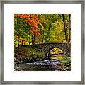 Natures Way Framed Print