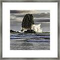 Needle Splash Framed Print