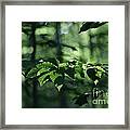 Never Far From My Thoughts Framed Print