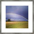 New Forest Rainbow Framed Print