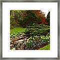 New Leaves And Flowers - Impressions Of Spring Framed Print