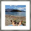 New Zealand Christmas Framed Print