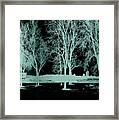 Niagara 198 Framed Print