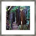 Nice Path Framed Print