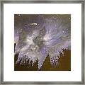 Night In The Forrest Framed Print