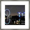 Night Shot Of Singapore Flyer Gardens By The Bay And Water Reflections Framed Print