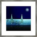 Night Walk Of The Penguins 2.5 Framed Print