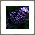 Night Watch Framed Print