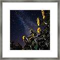 Night Watchmen Framed Print