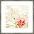 Nights In White Satin Framed Print