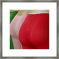 No If Ands Or Butts 2 Framed Print