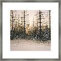 Norther Bush-country Framed Print
