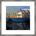 Ocean City Sunset At Northside Park Framed Print