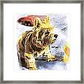 Norwich Terrier Fire Dog Framed Print