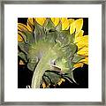 Purification- Lemongrass Framed Print