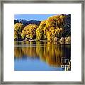 Autumn Weeping Willows Framed Print