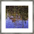 November River Reflection Framed Print