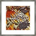 Nuts Pulses And Spices Framed Print