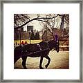 Nyc, Ny - Trot - Mar 20-24,  2014 Framed Print