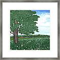 Oak Tree In Summer Meadow Framed Print