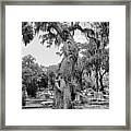 Oak Tree With A Face 2 Framed Print