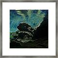 Oasis In The Cenote Framed Print