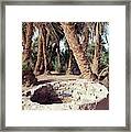 Oasis Well And Trees Framed Print