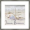 Ocean Breezes  And Shells Framed Print