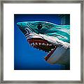 Ocean City Shark Attack Framed Print